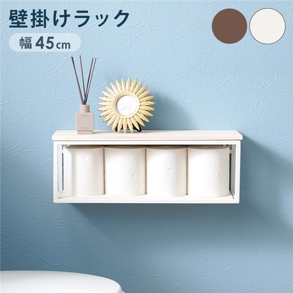 壁掛けラック ショートタイプ 約幅45×奥行15.5×高さ16.5cm ホワイトウォッシュ スチール ウォールシェルフ リビング【代引不可】