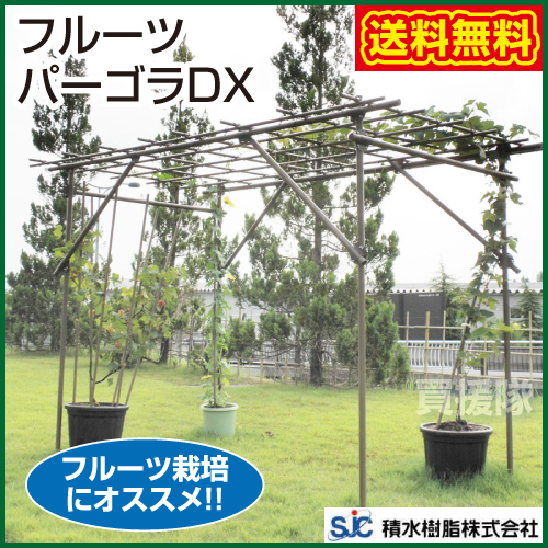 目玉商品 法人限定 積水樹脂 フルーツパーゴラ Kingサイズ 家庭菜園 ネット棚 キット 園芸 支柱 用品 園芸ネット 野菜作り 積水樹脂 おしゃれ おすすめ Cb99 奇跡の再販 Traverserdl Com