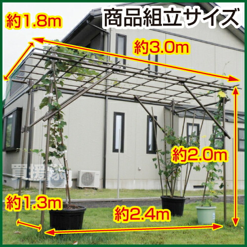 【楽天市場】《法人限定》セキスイ フルーツパーゴラDX【ぶどう棚 藤棚 ふじ棚 葡萄棚 園芸棚 菜園 棚 支柱 園芸 用品 つる ヘチマ