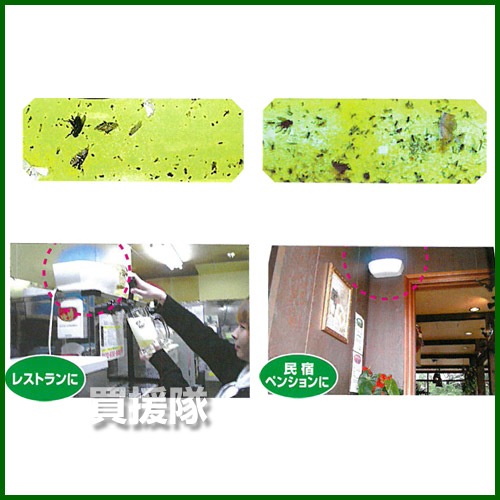 楽天市場 セハージャパン 虫ピタ虫v ファイブ 屋内用飛来昆虫捕虫器 Tktbr 蛾 ガ 蚊 ハエ取り 虫 捕獲 虫除け 対策 補虫器 駆除 おしゃれ おすすめ Cb99 買援隊2号店