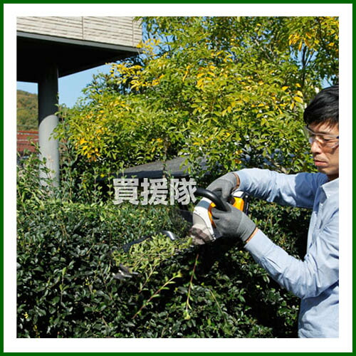 リョービ Ryobi 充電式ヘッジトリマ Bht 1800 a 充電 電動 ヘッジトリマー 垣根 生垣 切 バリカン 生垣バリカン 庭 庭木 せん定 剪定 低振動 おしゃれ おすすめ Cb99 Mergertraininginstitute Com