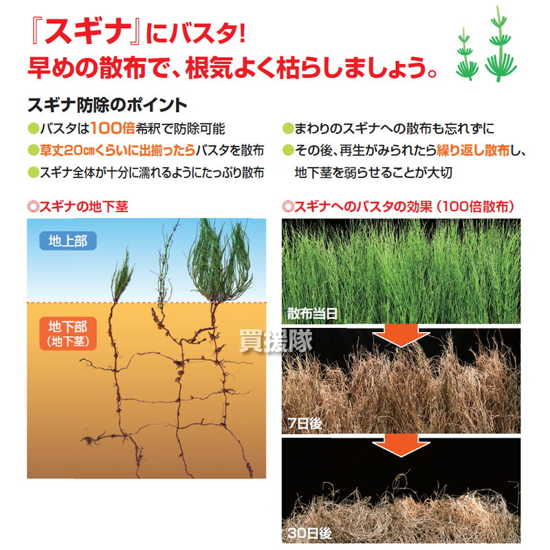 市場 BASF 合計60L 雑草対策 1L 経済的 除草剤 1リットル 薬剤 散布 60本セット 対策 噴霧器 希釈 薬 原液 水でうすめてまくだけ  雑草 バスタ液剤 安心