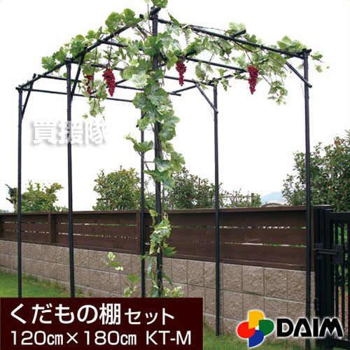 楽天市場】【クーポンで最大3,000円OFF】daim くだもの棚セット KT-M