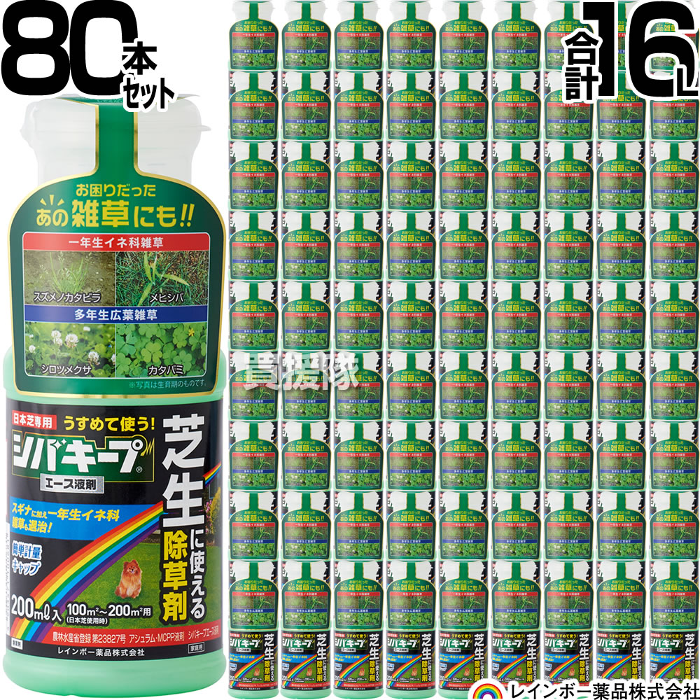 【80本書き割り 足し加える16L】虹霓医薬品 シバキープエース 液剤 200ml×80本  【日本芝 高麗芝 芝地に生える雑草だけを枯らす 芝地用除草剤原液 水でうすめてまくだけ 薄める手合い 原液手合い 水で薄める 一年生田の実科雑草 クローバー 杉菜】【今めかしい おすすめ】[CB99]