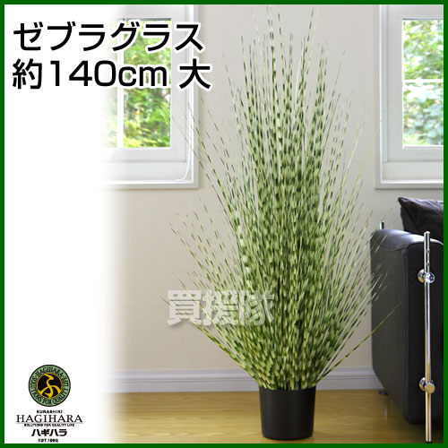 楽天市場 ゼブラグラス 人工植物 約140cm 大 観葉植物 インテリア 人工植物 光触媒 グリーン 室内 種類 販売 通販 ガーデニング Artificial Green おしゃれ おすすめ Cb99 買援隊