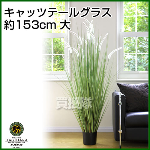 大注目 楽天市場 キャッツテールグラス 人工植物 約153cm 大 観葉植物 インテリア 人工植物 光触媒 グリーン 室内 種類 販売 通販 ガーデニング Artificial Green おしゃれ おすすめ Cb99 買援隊 再再販 Www Lexusoman Com