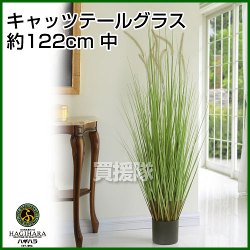 楽天市場 キャッツテールグラス 人工植物 約122cm 中 観葉植物 インテリア 人工植物 光触媒 グリーン 室内 種類 販売 通販 ガーデニング Artificial Green おしゃれ おすすめ Cb99 買援隊