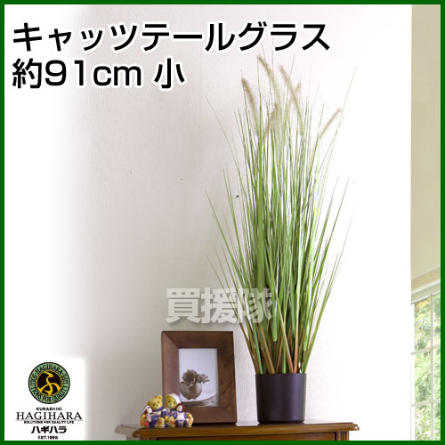 楽天市場 キャッツテールグラス 人工植物 約91cm 小 観葉植物 インテリア 人工植物 光触媒 グリーン 室内 種類 販売 通販 ガーデニング Artificial Green おしゃれ おすすめ Cb99 買援隊