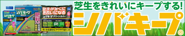 楽天市場】【ポイント10倍】太陽工業(株) タイヨー コンベヤ用アングル