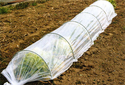 保障できる 第一ビニール おてがる君 ポリシート 75cm 4 2m 40cm 5個セット 菜園 園芸 家庭菜園 ガーデニング 用品 ビニールシート おしゃれ おすすめ Cb99 年最新海外 Lexusoman Com