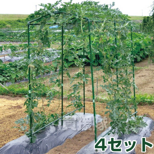 楽天市場】4セット 空中栽培 つる棚セット TDS-1.8-H カボチャ