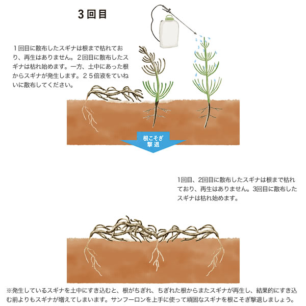 大成農材 除草剤 サンフーロン l Sanf 000 ガーデニング 雑草 対策 雑草対策 園芸 薬剤 薬 安心 ミカン 果樹 経済的 噴霧器 散布 おしゃれ おすすめ Cb99 Sandjfisheries Co Uk