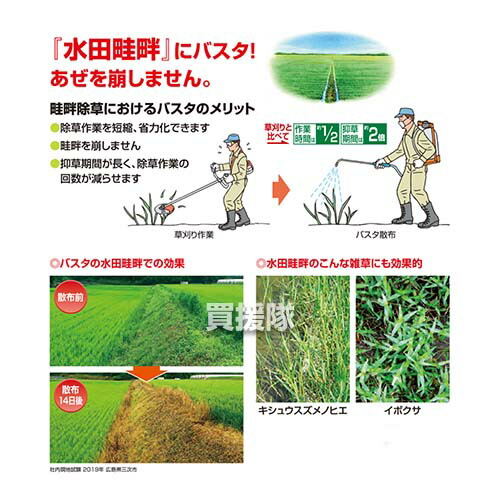 Basf バスタ液剤 雑草 雑草対策 希釈 薬 5l 散布 合計l 噴霧器 除草剤 4本セット 水でうすめてまくだけ 原液 5リットル 対策 経済的 薬剤 安心