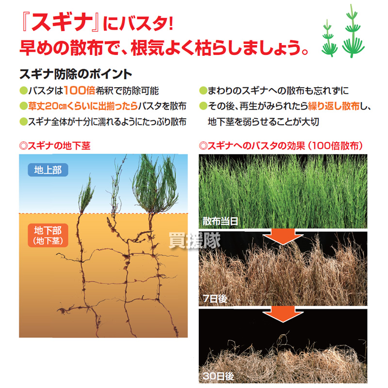 Basf バスタ液剤 安心 希釈 経済的 1リットル 12本セット 雑草 薬 除草剤 散布 噴霧器 原液 薬剤 雑草対策 対策 合計12l 水でうすめてまくだけ 1l