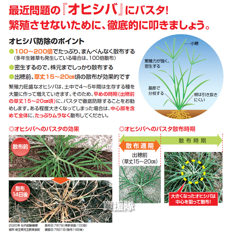 Basf バスタ液剤 安心 希釈 経済的 1リットル 12本セット 雑草 薬 除草剤 散布 噴霧器 原液 薬剤 雑草対策 対策 合計12l 水でうすめてまくだけ 1l