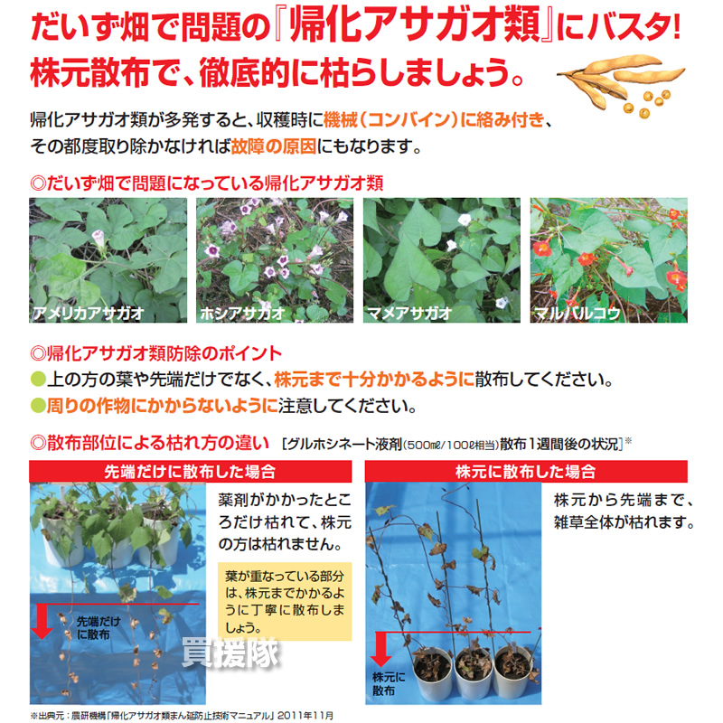 市場 BASF 雑草 経済的 対策 合計100L 5リットル 除草剤 薬 安心 水でうすめてまくだけ 20本セット バスタ液剤 雑草対策 5L 薬剤  原液 散布 噴霧器 希釈