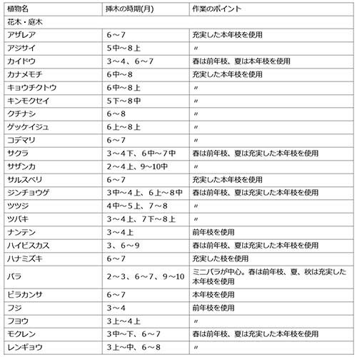住友化学園芸 ルートン 活着 植物成長調整剤 さし苗 15g 促進剤 ゼラニウム 発根 さし木 すぎ きく