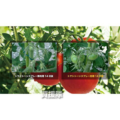 情熱セール 住友化学園芸 トマトトーンスプレー 4ml 30本 植物成長調 整剤 着果促進 実の着き 実つき 良く 安定 肥大 熟期 促進 トマト とまと 用 おしゃれ おすすめ Cb99 Sferavisia Hr