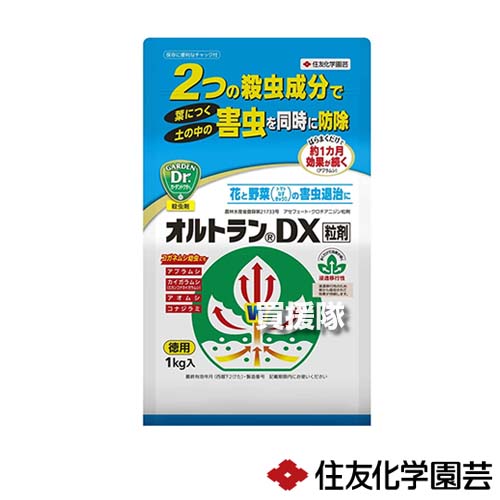 住友化学園芸 オルトランdx粒剤 1kg 12袋 殺虫剤 殺虫 害虫 防除 対策 家庭用 園芸 家庭菜園 用 アオムシ 植物 トマト 野菜 きゅうり おしゃれ Cb99 激安 超特価 アブラムシ おすすめ なす ガイガラムシ 花