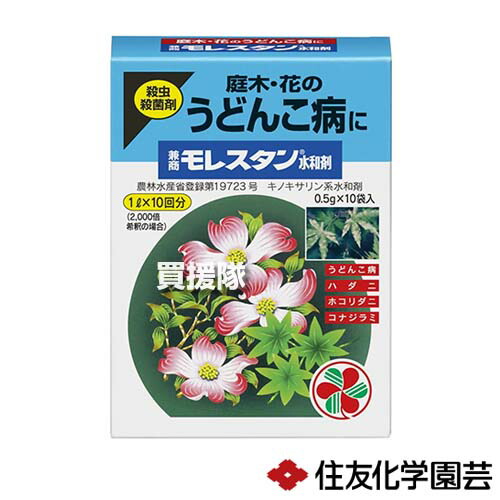★P5倍★最大1500円OFFクーポン★住友化学園芸 兼商モレスタン水和剤 (0.5g×10袋入)×60個 【殺虫 殺菌剤 殺菌 病気 予防 退治 治療 庭木 花 家庭用 園芸 家庭菜園 用 うどんこ病 ハダニ ホコリダニ コナジラミ トマト なす きゅうり】【おしゃれ おすすめ】[CB99]