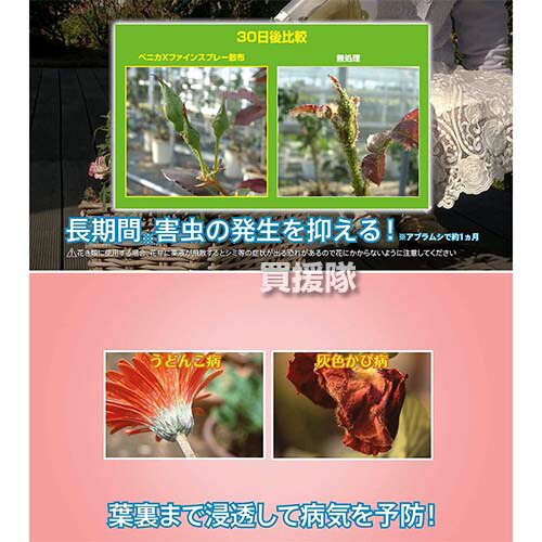住友化学園芸 ベニカxファインスプレー 治療 アブラムシ対策 褐斑病 うどんこ病 予防 病気 灰色かび病 4ml 黒星病 殺虫殺菌剤