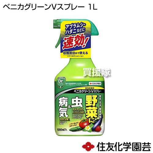 住友化学園芸 ベニカグリーンvスプレー 治療 黒星病 殺菌 アブラムシ類 予防 殺虫 病気 1l うどんこ病