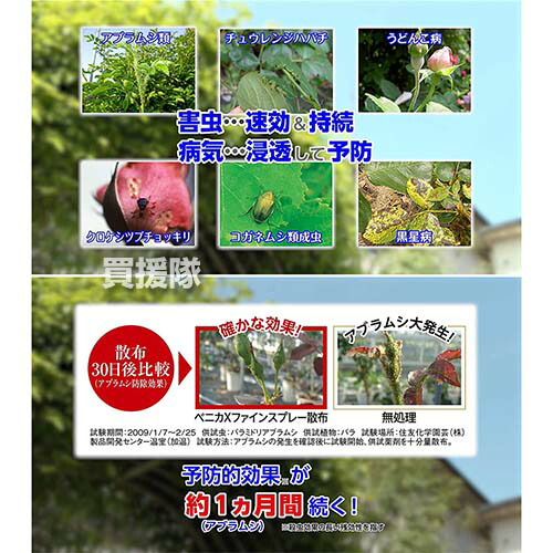 住友化学園芸 ベニカxファインスプレー 予防 殺菌 病気 バラ うどんこ病 殺虫 病原菌 ばらの害虫と病気に 950ml 15本 薔薇 治療
