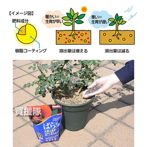 住友化学園芸 マイローズ 粒剤 1 6kg 元肥 植物性有機質 便利 追肥 ばらの肥料 かんたん そのまま使える