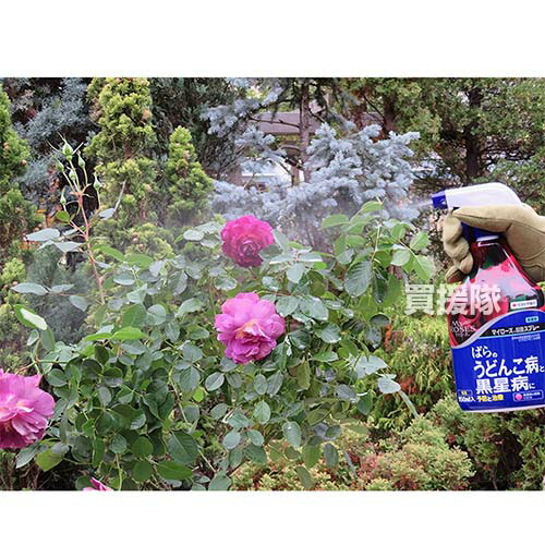 Byqgcklfre3ijm Byqgcklfre3ijm