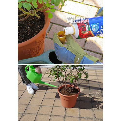 住友化学園芸 マイローズ 液体肥料 ミネラル ビタミン ばらの液体肥料 水でうすめる 800ml 有機質入り