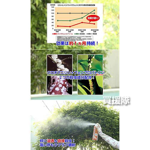 住友化学園芸 カイガラムシエアゾール 殺虫 防除 殺虫剤 害虫 ガイガラムシ類 退治 480ml