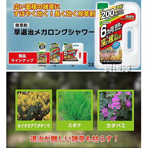 最大80 オフ 住友化学園芸 草退治メガロングシャワー 2l 8本 Cb99 Fucoa Cl