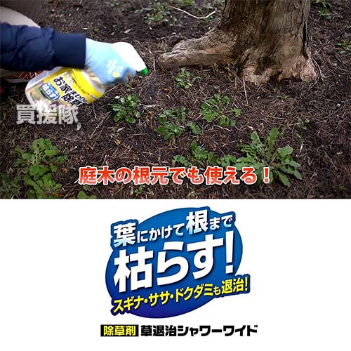 住友化学園芸 草退治シャワーワイド 1000ml 除草剤 根まで 枯らす そのまま散布 雑草 対策 雑草対策 園芸 薬剤 Cb99 笹 ササ 庭木 おすすめ 薬 スギナ すき間 下草雑草 ドクダミ 贅沢品 おしゃれ 安心