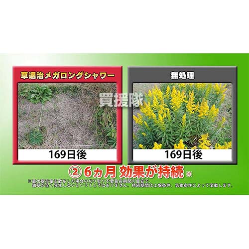 住友化学園芸 草退治メガロングシャワー スプレー そのまま散布 対策 雑草 1000ml 雑草対策 除草剤 枯らす 根まで