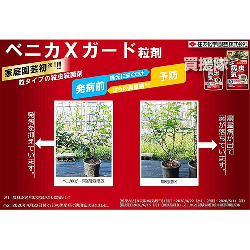 住友化学園芸 ベニカxガード粒剤 殺虫殺菌粒剤 灰色かび病 病気 ベニカガード 被害 予防 害虫 粒タイプ うどんこ病 250g