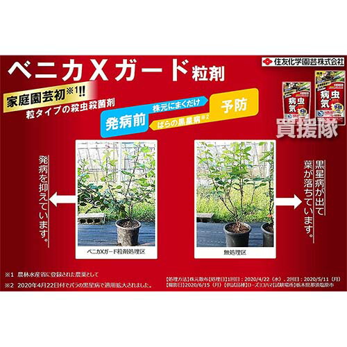 記念日 ベニカxガード粒剤 550g 住友化学園芸 ベニカガード 粒タイプ 殺虫殺菌粒剤 病気 予防 害虫 被害 灰色かび病 うどんこ病 黒星病 アブラムシ対策 花 野菜 園芸 庭木 バラ 薔薇 きゅうり トマト ナス おしゃれ おすすめ Cb99 Ie Monogatari Jp 記念日 ベニカxガード粒剤 550g 住友化学園芸 ベニカガード 粒タイプ 殺虫殺菌粒剤 病気 予防 害虫 被害 灰色かび病 うどんこ病 黒星病 アブラムシ対策 花 野菜 園芸 庭木 バラ 薔薇 きゅうり トマト ナス おしゃれ おすすめ Cb99 Ie Monogatari Jp