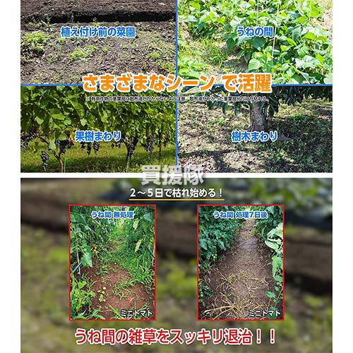 住友化学園芸 グリーンスキットシャワー 畑で使える 4 2l 対策 除草剤 雑草対策 草 雑草 予防