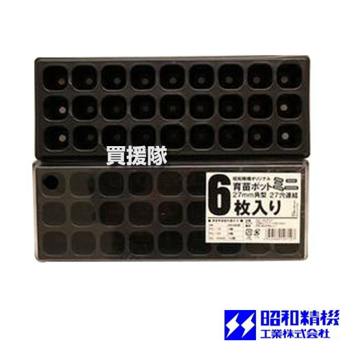 楽天市場】1月は31日間毎日がポイント5倍（要エントリー）すくすく