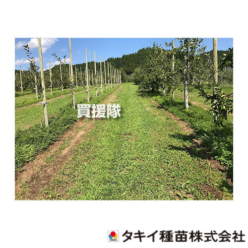 身寄り用耕運機の選び方｜未経験者の方向けにホンダ製も明らかにする