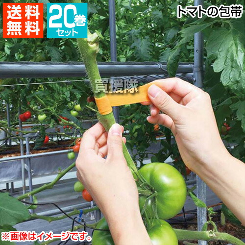 ★ポイント5倍★クラレトレーディング トマトの包帯 25mm×5m 20巻セット 不織布テープ オレンジ KRR-015929-20S 【トマト とまと 折れた 茎 枝 補修 テープ 結束具 固定 固定具 つなぎ つなぐ 再生育 不織布 素材 伸縮】【おしゃれ おすすめ】[CB99]