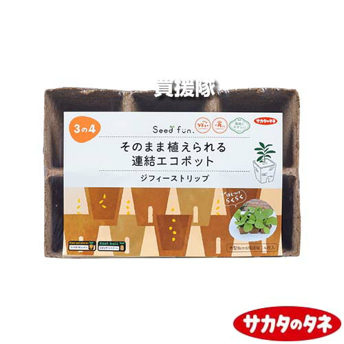 ★ポイント5倍★サカタのタネ 連結エコポット ジフィーストリップ 8cm (6個連結4枚入)&times;24セット 【ポットごとそのまま植え付け 土になる天然素材 連結ポット 種 まき 撒き 播種 発芽 管理 タネまき 育苗 植え付け エコ 花 野菜 家庭】【おしゃれ おすすめ】[CB99]｜買援隊