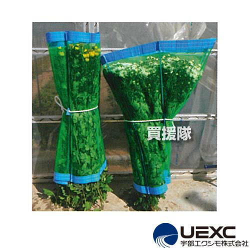 ★最大1500円OFFクーポン★7/24まで★宇部エクシモ マキマキ 花用 90&times;180cm 50枚セット 農作物集荷用資材 【日本製 花卉用 集荷用ネット 荷傷み防止 鮮度保持 立てたまま輸送 水につけられる ムレない 丈夫 ダブルラッセル網】【おしゃれ おすすめ】[CB99]｜買援隊
