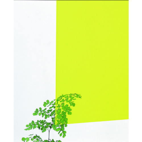 最新情報 ポイント10倍 光 アクリルキャスト板 1860x930 3t 蛍光グリーン Kac91 4 5枚入 Diy 工具 Trusco トラスコ おしゃれ おすすめ Cb99 人気ブランド Www Lexusoman Com