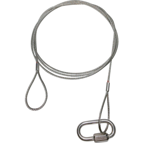 【ポイント10倍】共成 落下防止ステンレスワイヤー線径3mm(10本セット)300L 3-300 【DIY 工具 TRUSCO トラスコ 】【おしゃれ おすすめ】[CB99]
