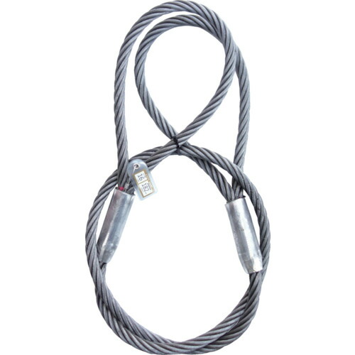 【ポイント10倍】大綱(株) DAIKO 高強度6×37 かがやき 16mm 4m KG-1640 【DIY 工具 TRUSCO トラスコ 】【おしゃれ おすすめ】[CB99]