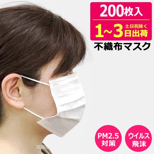【在庫有り・日本国内出荷】マスク 200枚 (50枚x4箱) 送料無料 不織布 ふつうサイズ 白 【ウイルス飛沫 PM2.5 花粉症 対策 使い捨てマスク 男女兼用 国内発送 ほこり ハウスダスト 感染 防止 対策 予防グッズ 人混み 電車 会議 講義 講演会 オフィス イベント会場】