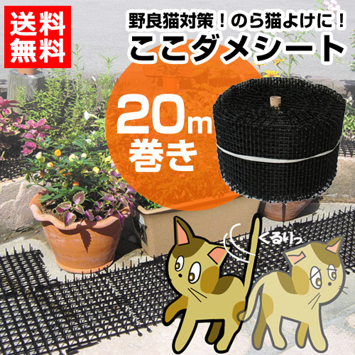 楽天市場 第一ビニール 猫よけ ここダメシート m巻き 猫対策 グッズ 猫よけ シート マット セット イタズラ防止 ネコよけ ねこよけ 野良猫対策 猫避け 猫除け おしゃれ おすすめ Cb99 買援隊