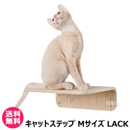 楽天市場】MYZOO キャットステップ 太陽型 SOLAR 【キャット