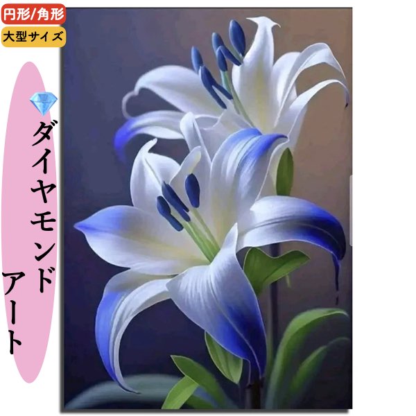 ＼P2倍★5/14まで／【貨物輸送無料】未経験者 金剛石工芸 水晶 ビーズ刺しゅう 絵図 5D 手芸第四次元 ラウンド 真四角 色合いビーズ キラキラビーズ 声遣い用 モザイック 北欧 かざり付ける 飾り付け 室内装飾 差し上げ物 御手々御手伝いさん 手芸機材 インテリア・寝具・収納-アートパネル・アートボード-壁紙・装飾フィルム