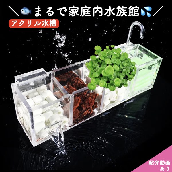 楽天市場】濾過器 ろ過 沈殿層 蓋あり 濾過装置 濾過外部式濾過層